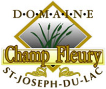 Projet Domaine Champ Fleury - St-Joseph-du-Lac